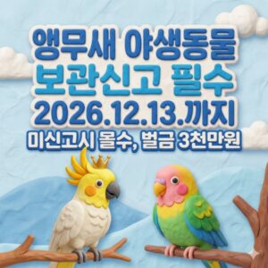 앵무새 야생동물 보관신고 안 하면 과태료 폭탄 12월 14일, 당신의 반려동물 자산을 지키는 법